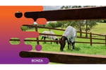 36139 - Profitable Rural Fencing Business for Sale