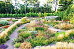 Wholesale & Retail Nursery | Established Perennials Nursery Opportunity | VIC