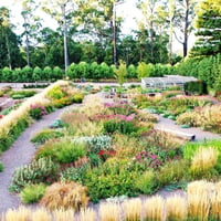 Wholesale & Retail Nursery | Established Perennials Nursery Opportunity | VIC image