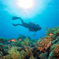 Bali Dive Center for Sale image