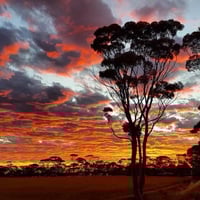 Mingenew Springs Caravan Park image