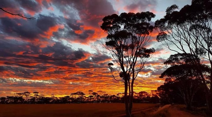Mingenew Springs Caravan Park