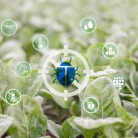 Chemical Free Pest Control Manufacturer & Retailer image