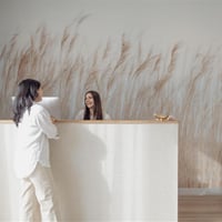 Coming Soon - Established Holistic & Allied Health Clinic image