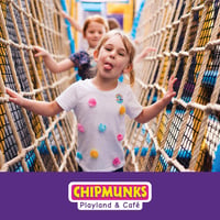 Chipmunks indoor playground franchise for sale - Hobart image