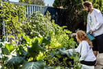 Leading Organic Gardening Business in Perth/Neerabup, WA