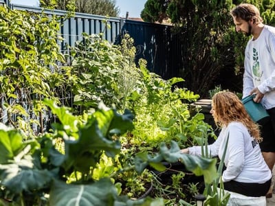 Leading Organic Gardening Business in Perth/Neerabup, WA image