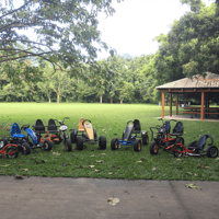 PEDAL KARTS CAIRNS FOR SALE image