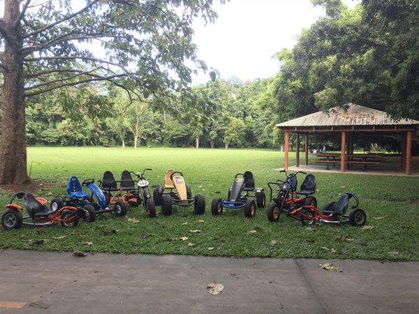 PEDAL KARTS CAIRNS FOR SALE