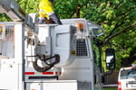 Vegetation Maintenance Municipal Contractor - EBS