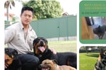 Turn Your Passion for Dogs Into Profit - Established Dog Training Business for Sale!