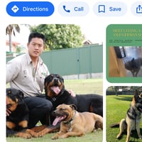Turn Your Passion for Dogs Into Profit - Established Dog Training Business for Sale! image