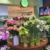 Fresh Stems Franchise Opportunities  Enquire Now image