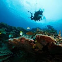 Professional Scuba Retailer image