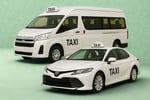 Monopoly on Wheels:  Taxi Business - No Uber