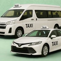 Monopoly on Wheels:  Taxi Business - No Uber image