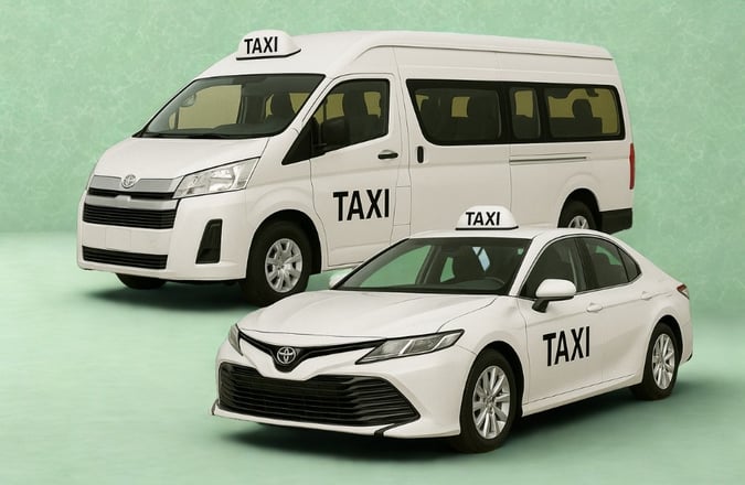 Monopoly on Wheels:  Taxi Business - No Uber