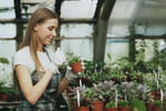 Wholesale Plants -  45years One Owner