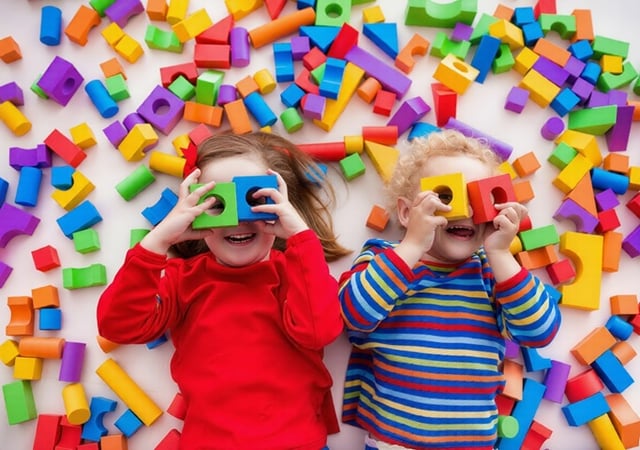 Large National Toy Product Importer, Wholesaler/Distributor #381