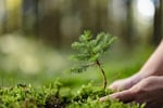Long-Established Lawn/Garden Business: HIGH INCOME! WORK FROM ANYWHERE!