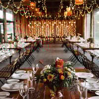 HISTORIC SUNSHINE COAST HINTERLAND BISTRO - FULLY LICENSED, PROFITABLE, AND POISED FOR GROWTH image