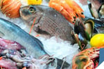 For Sale Premium Fresh & Cooked Seafood Shop  Good Returns with Prime Location