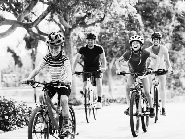 Exciting Opportunity to Own a Thriving Bicycle Store in Cranbourne, Victoria