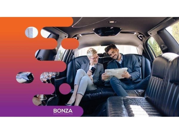 35653 Established & Profitable Limousine Business - Broad Service Offerings