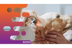 36686 Profitable Mobile Veterinary Business - Low Overheads