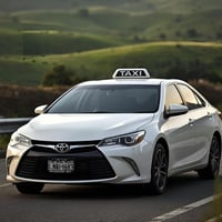 Strategic Transport Investment - The Only Taxi Operator in the Tablelands image