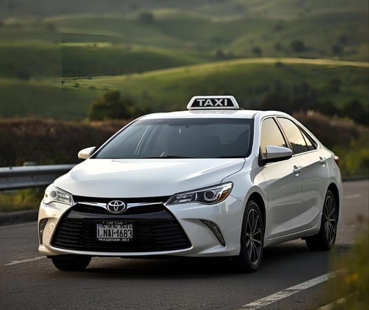 Strategic Transport Investment - The Only Taxi Operator in the Tablelands