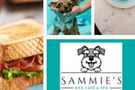 Dog Cafe and Spa - Moonee Beach, NSW