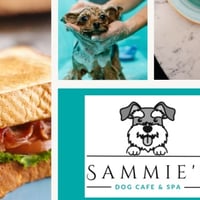 Dog Cafe and Spa - Moonee Beach, NSW image