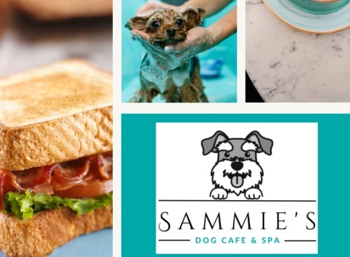 Dog Cafe and Spa - Moonee Beach, NSW