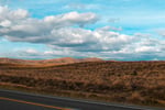 Coming Soon - Line Marking Business - Strong Contracts
