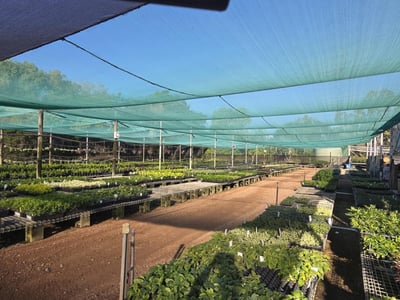 Photo of Central to North Queensland Wholesale Nursery Strategic Add on or Lifestyle Business