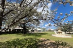 Winery in Mudgee, NSW