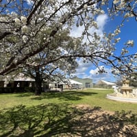 Winery in Mudgee, NSW image