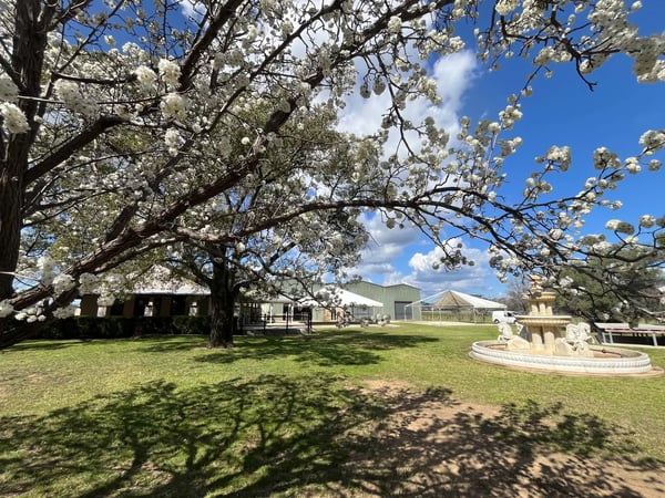 Winery in Mudgee, NSW
