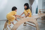 33059 - 33059 Popular & Sustainable Online Childrens Toy & Equipment Business