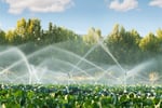 Coming Soon - Pump/Irrigation/Electrical Business