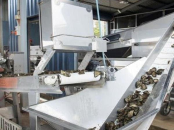 Well-Established Manufacturing Business For Sale - Stainless Steel Equipment & Fabrication - Wynyard, TAS Location - Average Turnover of $1.4 M - Opti