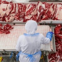Sydney Meat Wholesalers 36 years Established $ 12 mil T/0 Per Year High Profits image