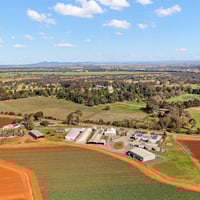 Wholesale Production Business-Agriculture-$1m+ Owners Profit image