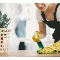 34328 Lucrative & Unique Cleaning Business - Oversnow Access Advantage image