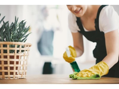 34328 Lucrative & Unique Cleaning Business - Oversnow Access Advantage image