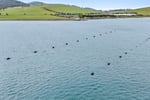Land base aquaculture facility and marine lease