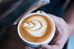 Highly Profitable North Shore Cafe  Loyal Customers & Prime Location