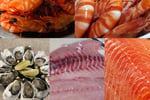 Seafood Distribution - 3 Days Only