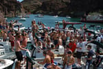BOATS and OUTBOARDS - Exceptional Opportunity